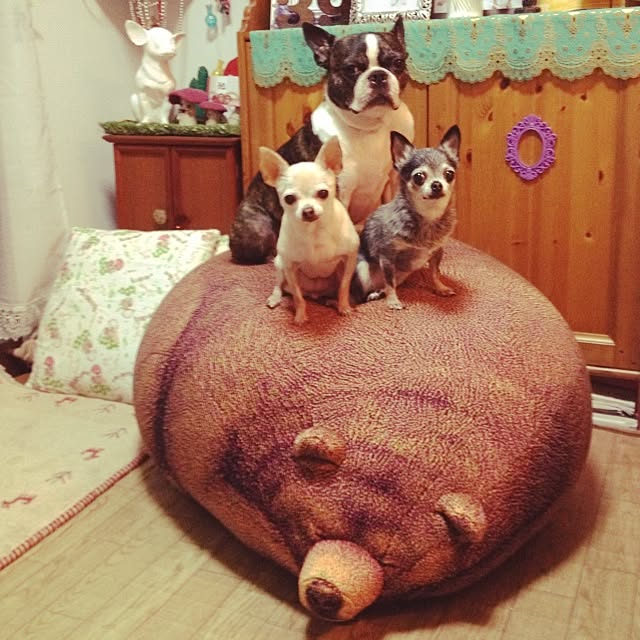 tubutanさんの実例写真