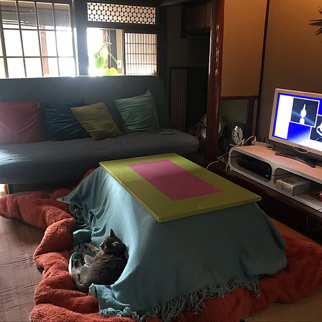 joshua.treeさんの実例写真