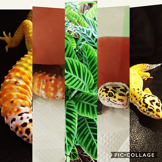 HIRO.TA29さんの実例写真