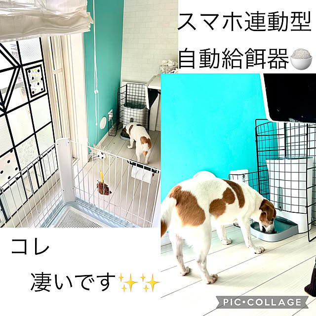 kittyさんの実例写真