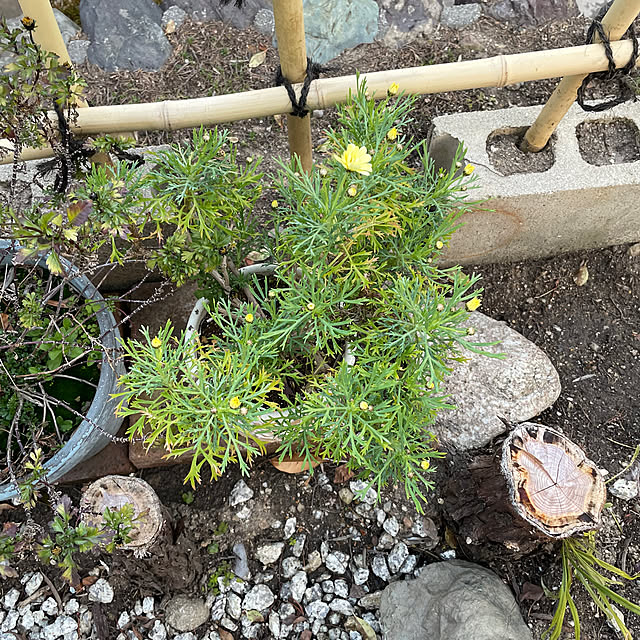 shin0719さんの部屋