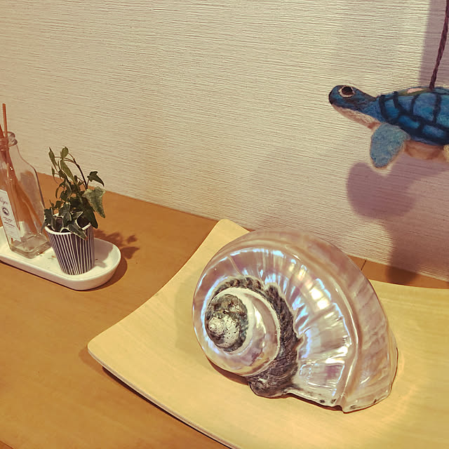 ryutomizuさんの実例写真