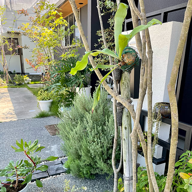 orangeさんの実例写真