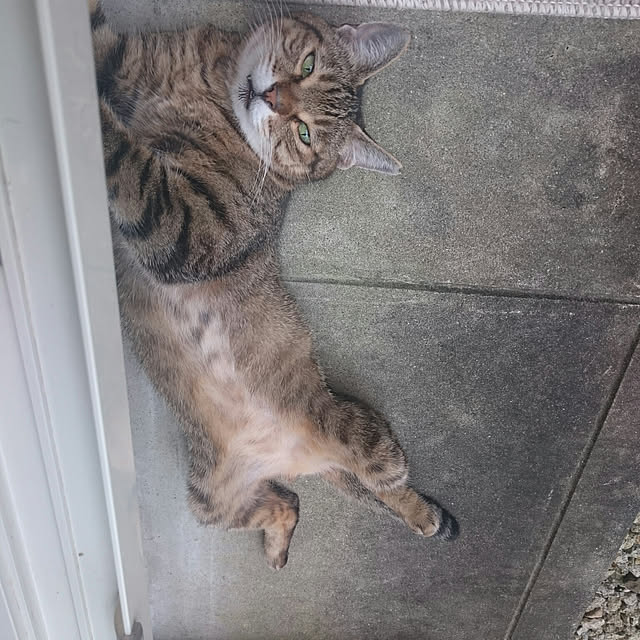 lilyさんの実例写真