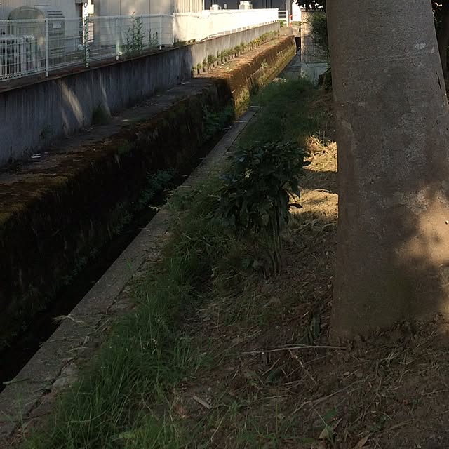 tm8tm8さんの実例写真