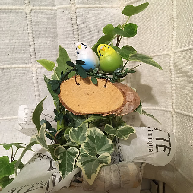 shigetanさんの実例写真