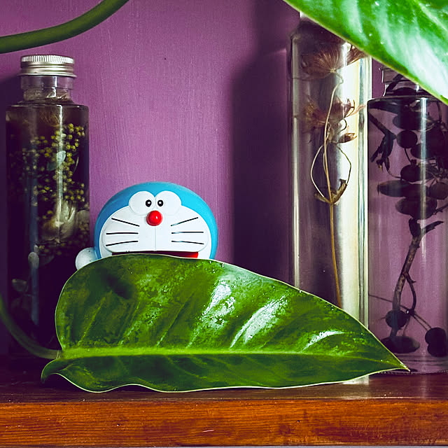 chacoさんの部屋