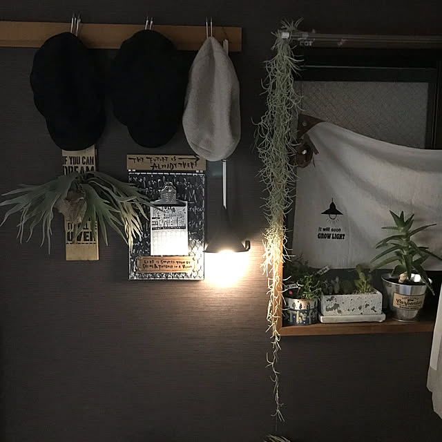 atsuatsutamagoさんの実例写真