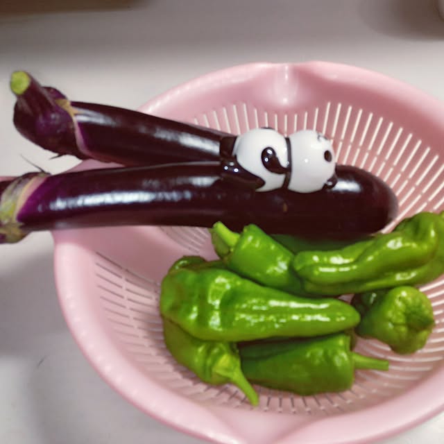 mocomocoさんの部屋