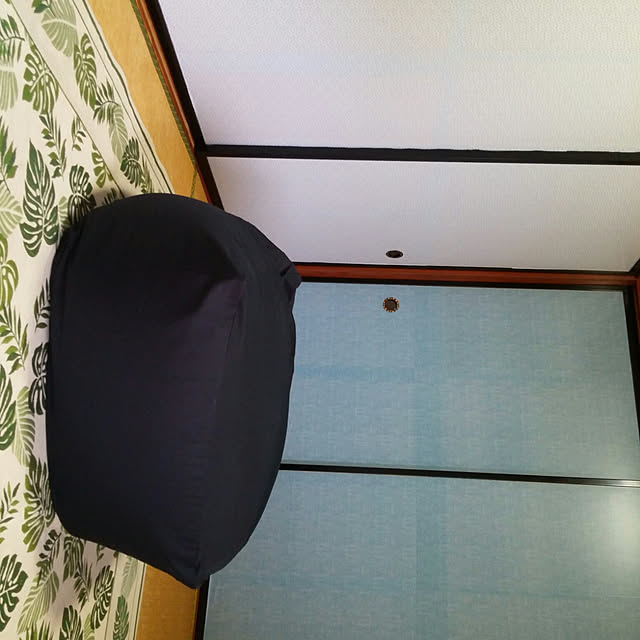壁/天井のインテリア実例 - 2017-08-16 10:26:44