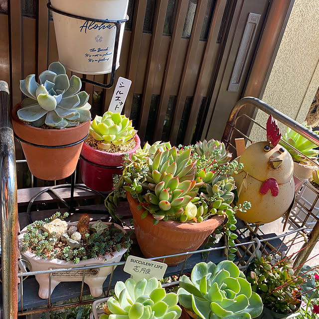 kiyoさんの部屋