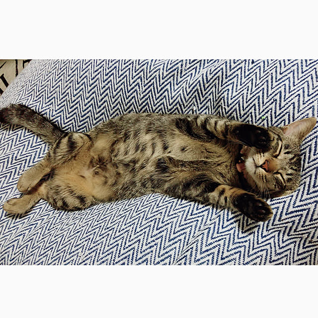 mkcさんの実例写真