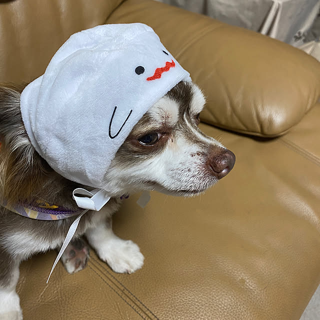 chIoeさんの部屋