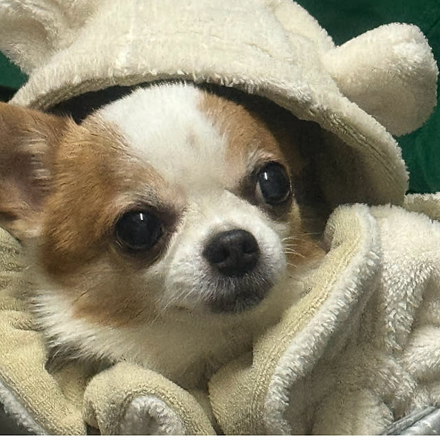 cocoさんの実例写真