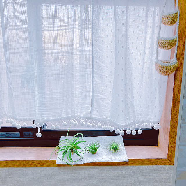 yuyuさんの部屋