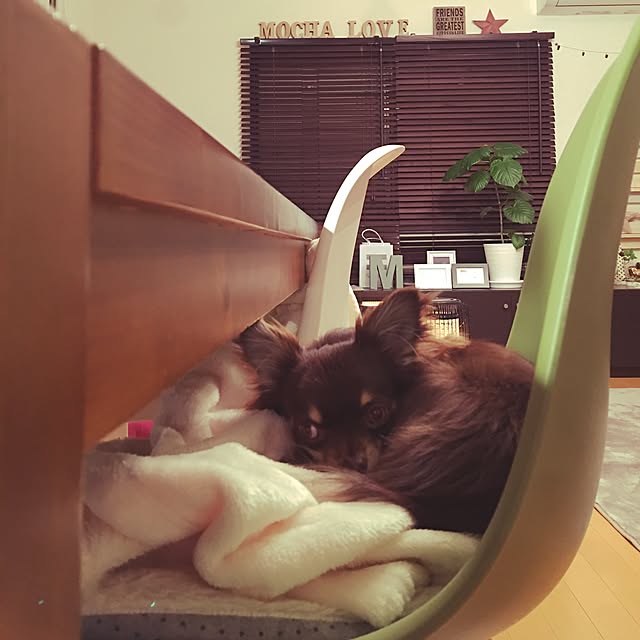takaさんの実例写真