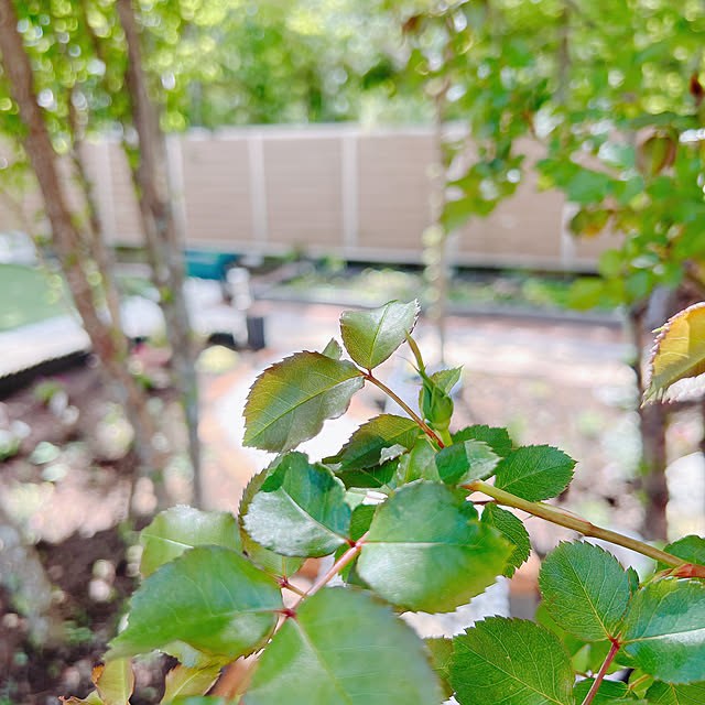 chanduさんの部屋