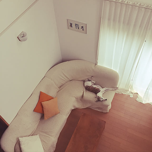 white_camelliaさんの実例写真