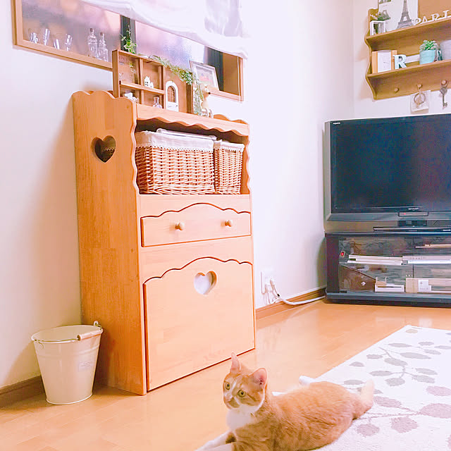 cocomaroさんの実例写真