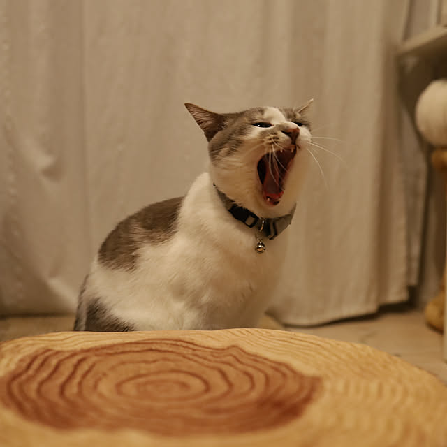 comiriさんの部屋