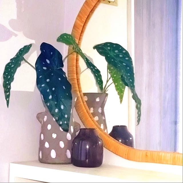 herorinさんの実例写真