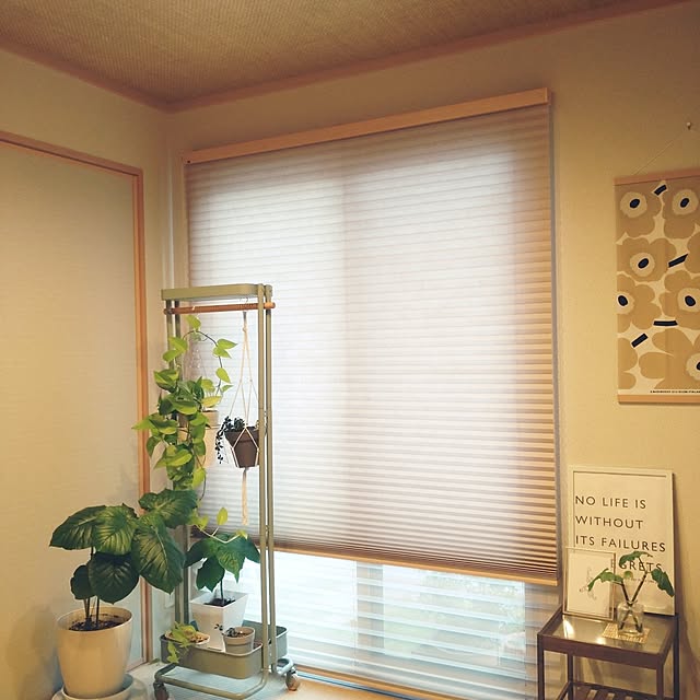 tan5さんの実例写真