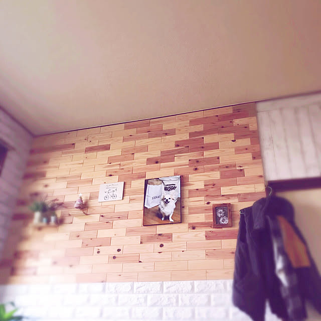 seroriさんの実例写真