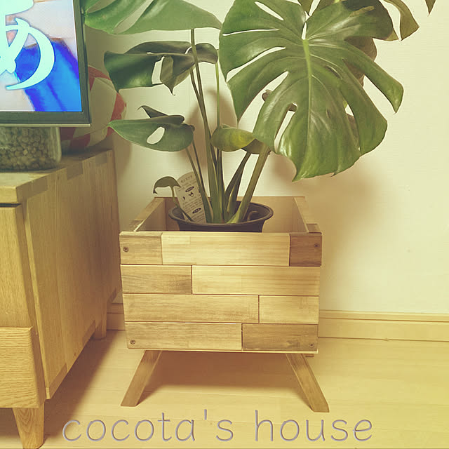 cocotaさんの実例写真
