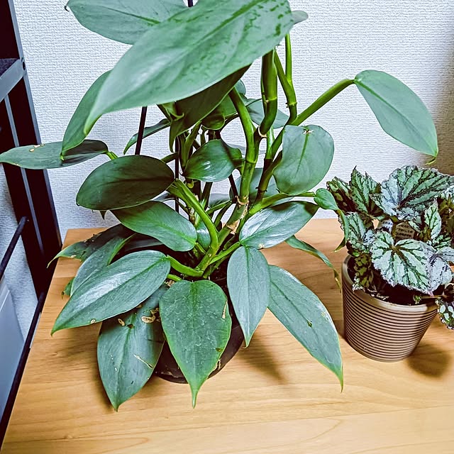 hanachanさんの実例写真