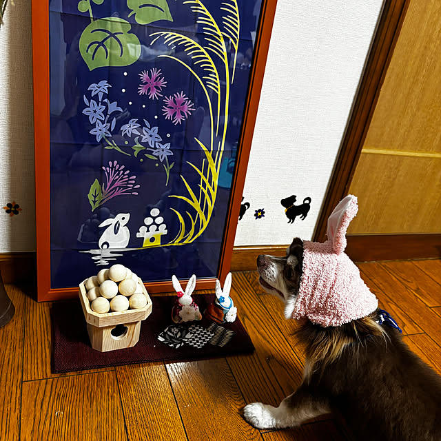 chIoeさんの部屋