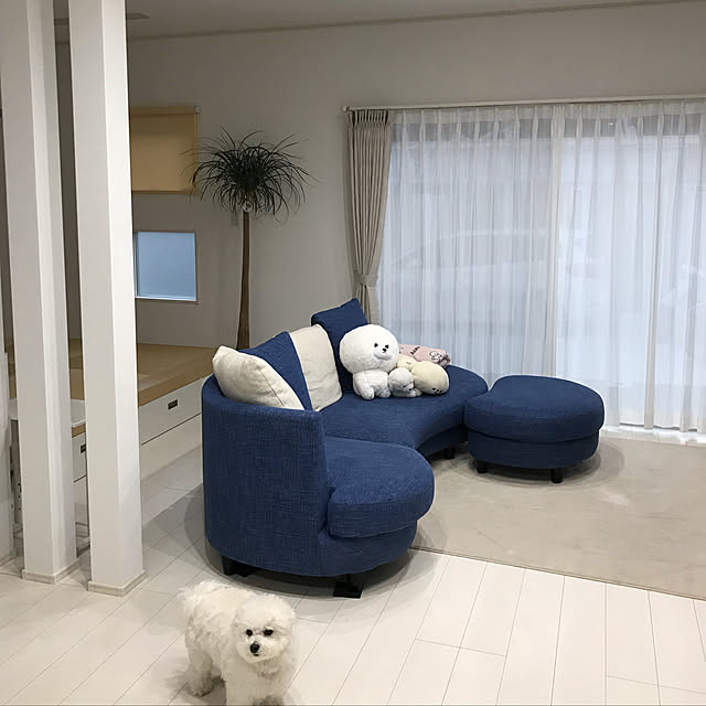 kotomiさんの実例写真