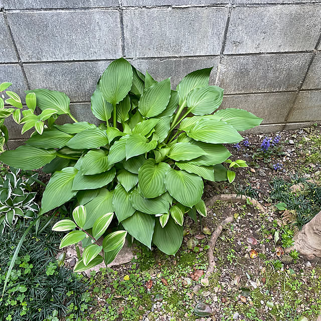 sugichanさんの部屋