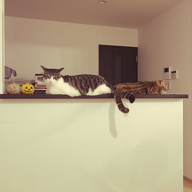 nomu2さんの実例写真