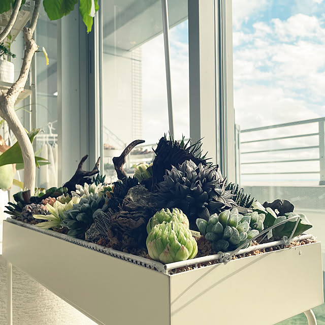 nanakoさんの実例写真