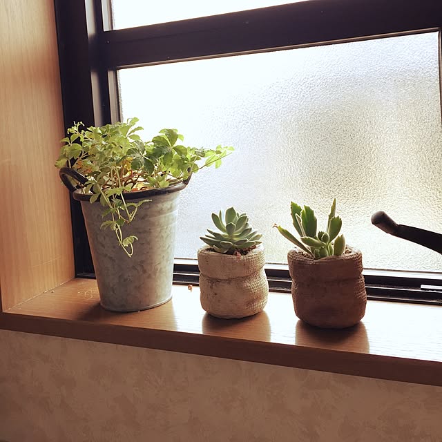 Eikoさんの実例写真