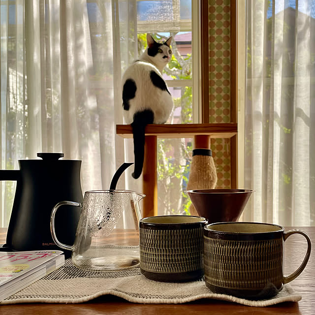 nobikoさんの部屋