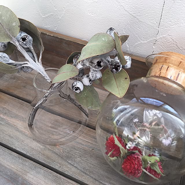 棚/観葉植物/ハンドメイド/ハーブのある暮らし/ボタニカルインテリア...などのインテリア実例 - 2016-07-06 16:43:30