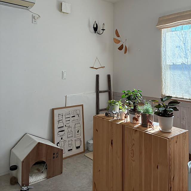 comiriさんの部屋