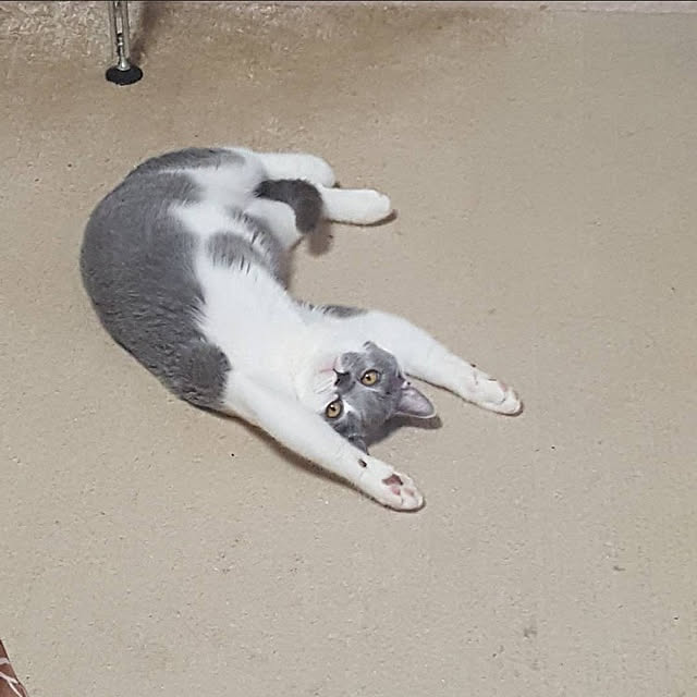 rhuさんの実例写真