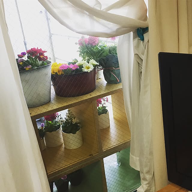 Lilyさんの実例写真