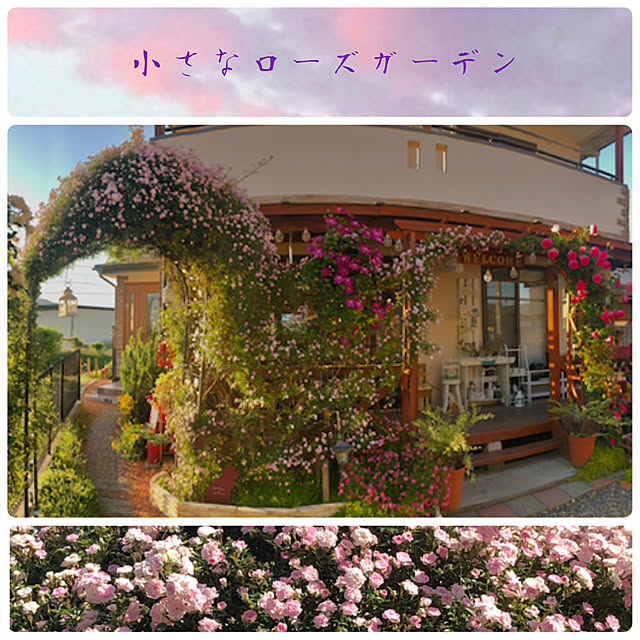 juncocoさんの実例写真