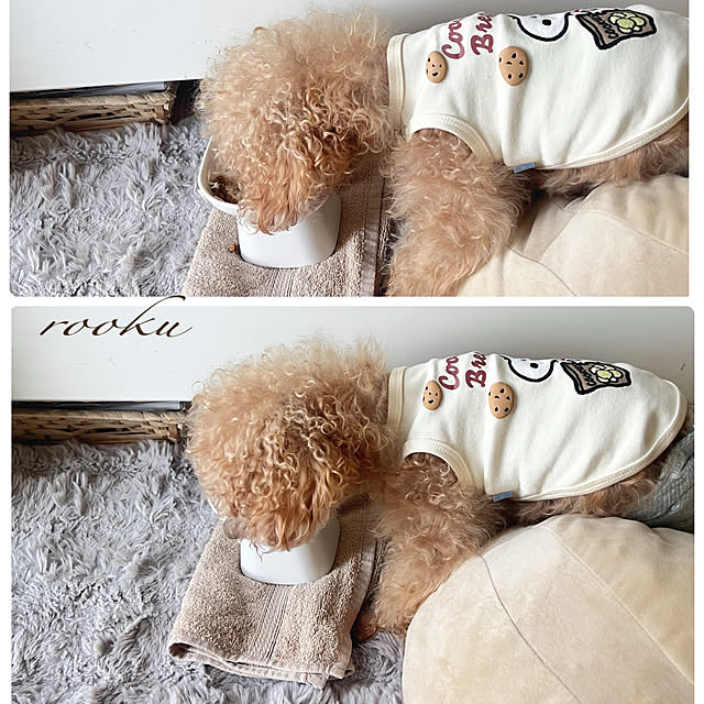 rookuさんのお部屋の写真