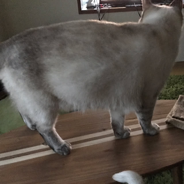 nachuさんの実例写真