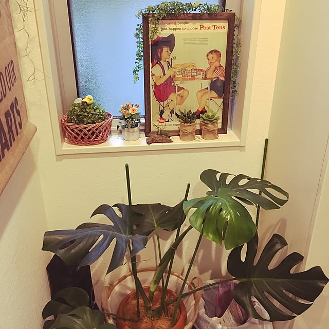 lunamamajunkoさんの実例写真