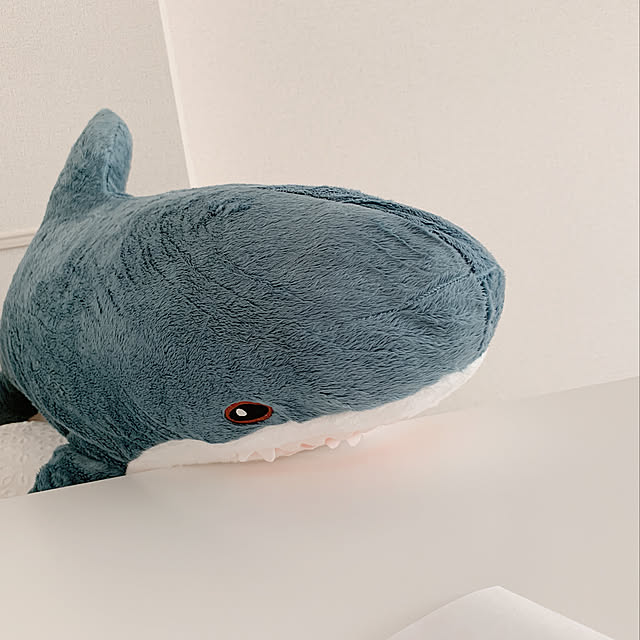 RIOさんの実例写真
