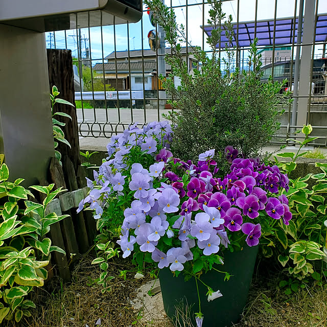 masarinn.さんの実例写真