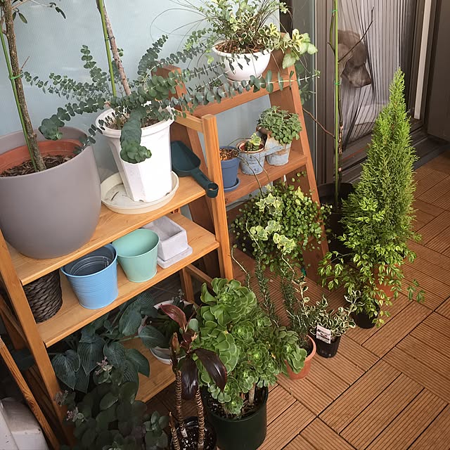 naoさんの実例写真
