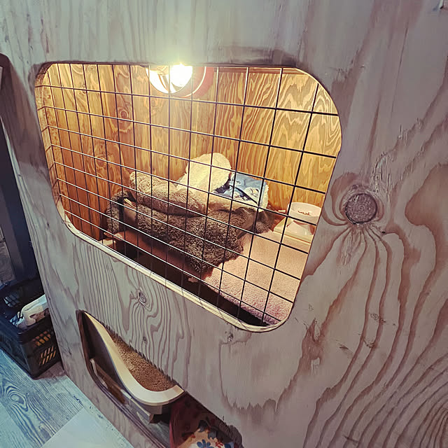 puku.meruさんの部屋