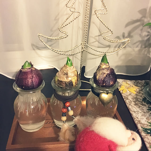 tanyuumoさんの実例写真