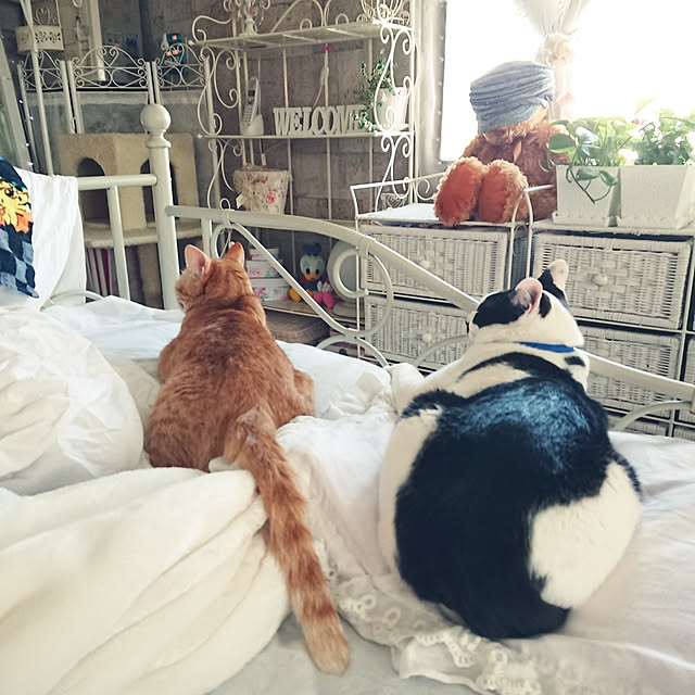 asuminさんの実例写真